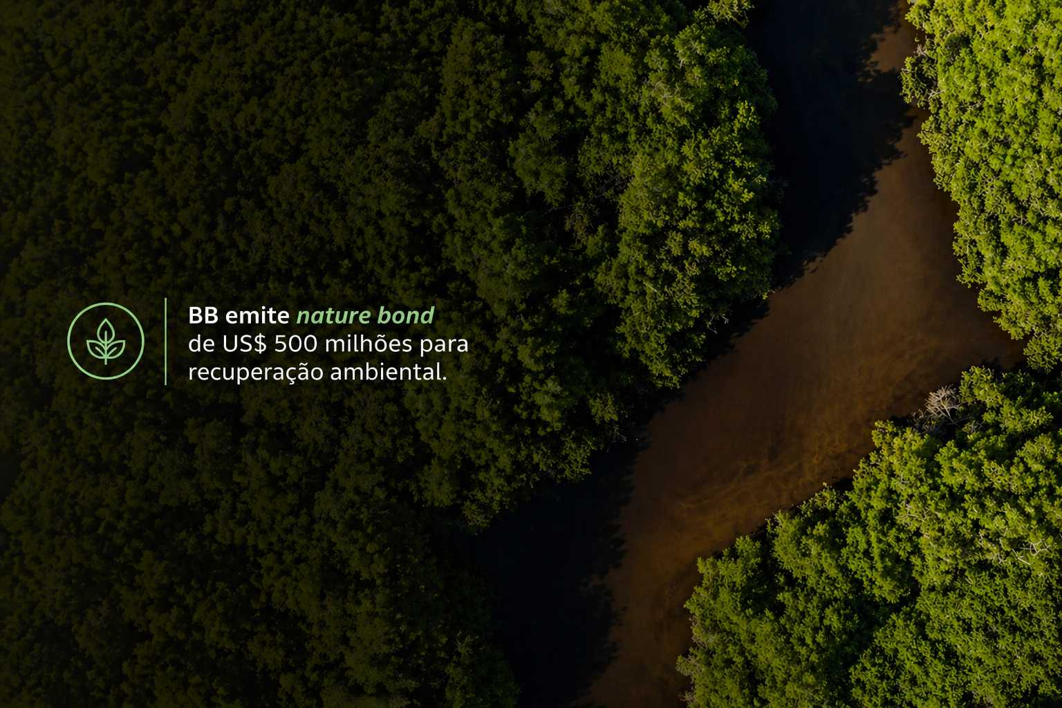 Banco do Brasil e finanças sustentáveis